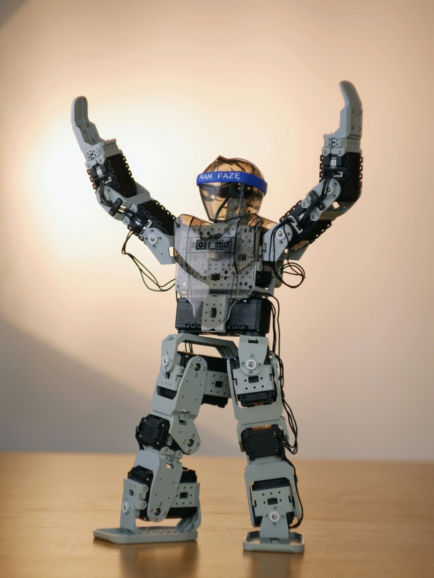 User Experiences: Testing Robotize Before Implementation